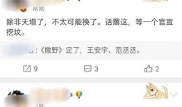 王者最新消息爆料瓜,最新版本神秘英雄登场，游戏格局将迎巨变！
