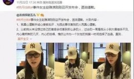 武成侯最新爆料新闻事件,最新爆料事件背后的惊人真相