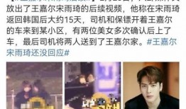 宋大嘴的最新爆料视频大全,揭秘娱乐圈幕后真相