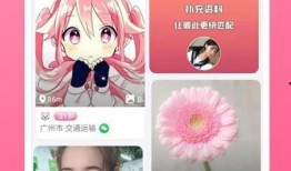 六叔最新爆料视频下载,视频内容深度解析