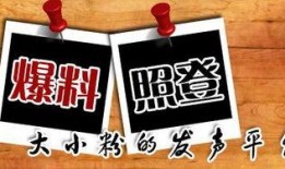 重庆王先生爆料最新,揭秘某神秘事件背后真相